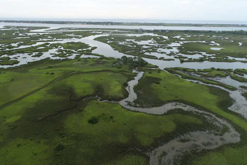 An oblique view of a Florida wetland 