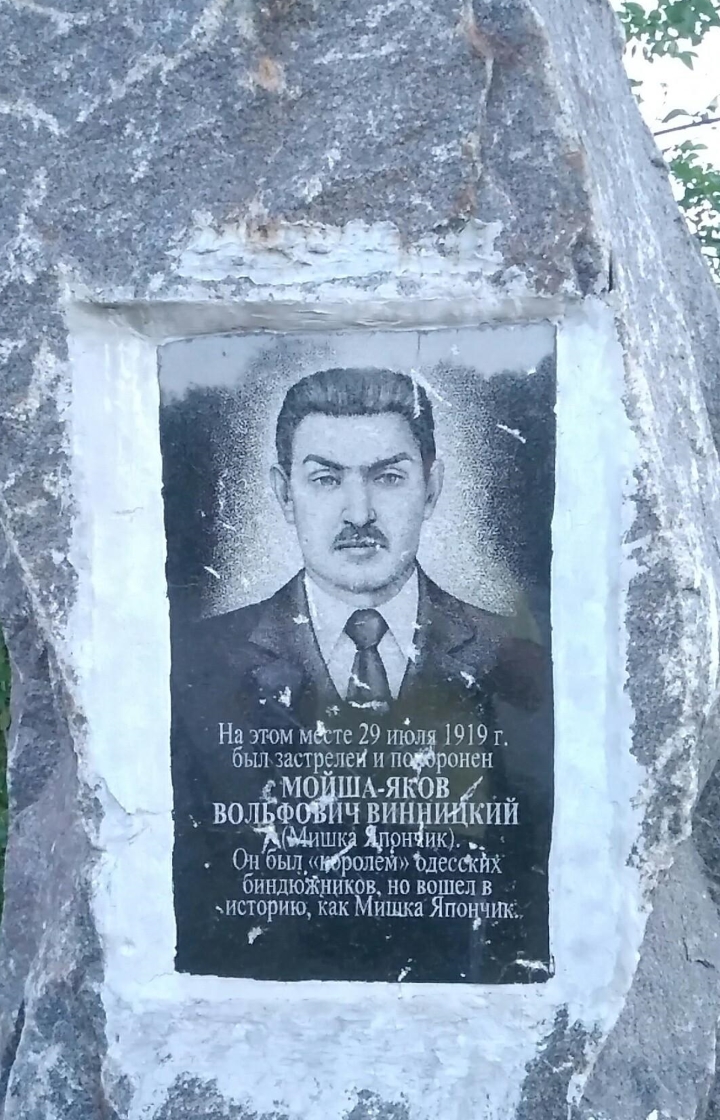 Мишка Япончик Реальное Фото