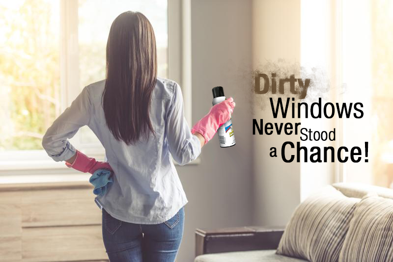 Dirty Windows Never Stood A Chance