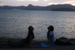 Центр ЗОЖ. Меганом 06.2018