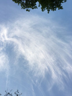 Центр Здорового Образа Жизни