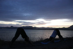 Центр ЗОЖ. Меганом 06.2018