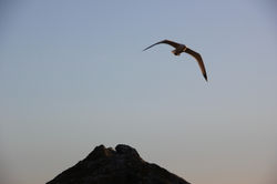 Центр ЗОЖ. Меганом 06.2018