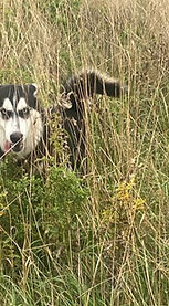 WhatsApp Image 2025-10-11 at 4.06_edited