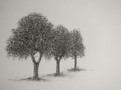 IMG_20220312_143728__01