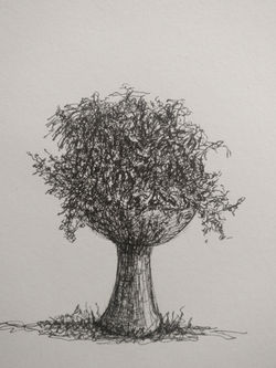 IMG_20220312_151054__01