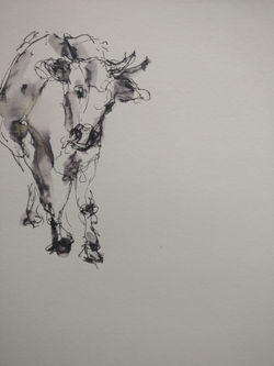 IMG_20220312_150729__01