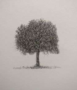 IMG_20220312_151257__01