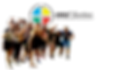 HBDI.png