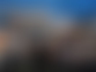 Ravens delivered dominating performance