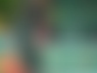 McGahan lands in Windsor: 'We're very pleased'