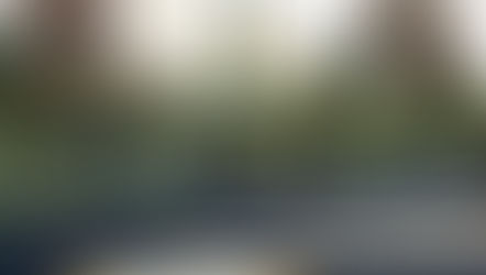 Queen's rallies to oust Lancers in OUA football semi-finals (video)