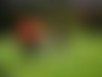 Riverside sets up battle for first