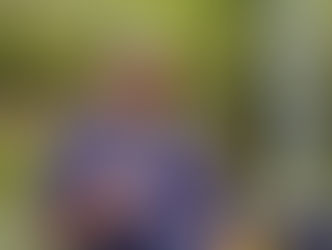 Evaluation Over Results: Lancers Use Opening Weekend to Test Depth (pic gallery)