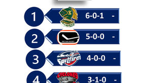 Local AAA teams excelling