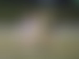 Lancers best in the west