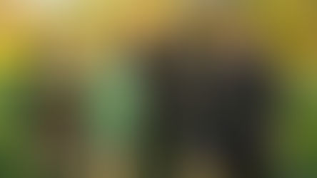 LaSalle's Currie leads Saints to OCAA silver