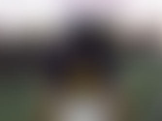 Alijah Metz: Between Two Worlds