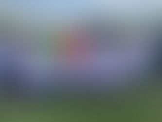 Bolade Fawehinmi nets four sending St. Anne to OFSAA