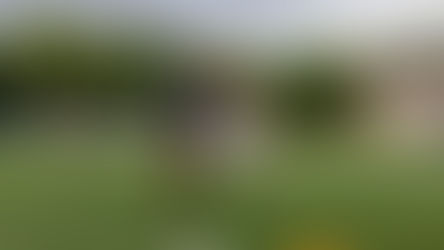 Facchineri drafted to CPL