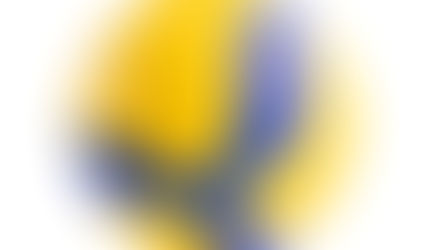 WECSSAA sr. boys volleyball all-stars