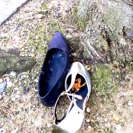 the rights shoes to abandon after a party?