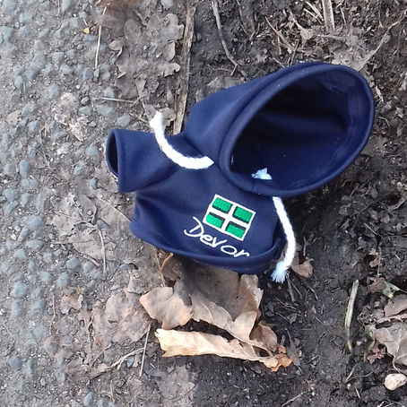 a toy sized hoody on a road