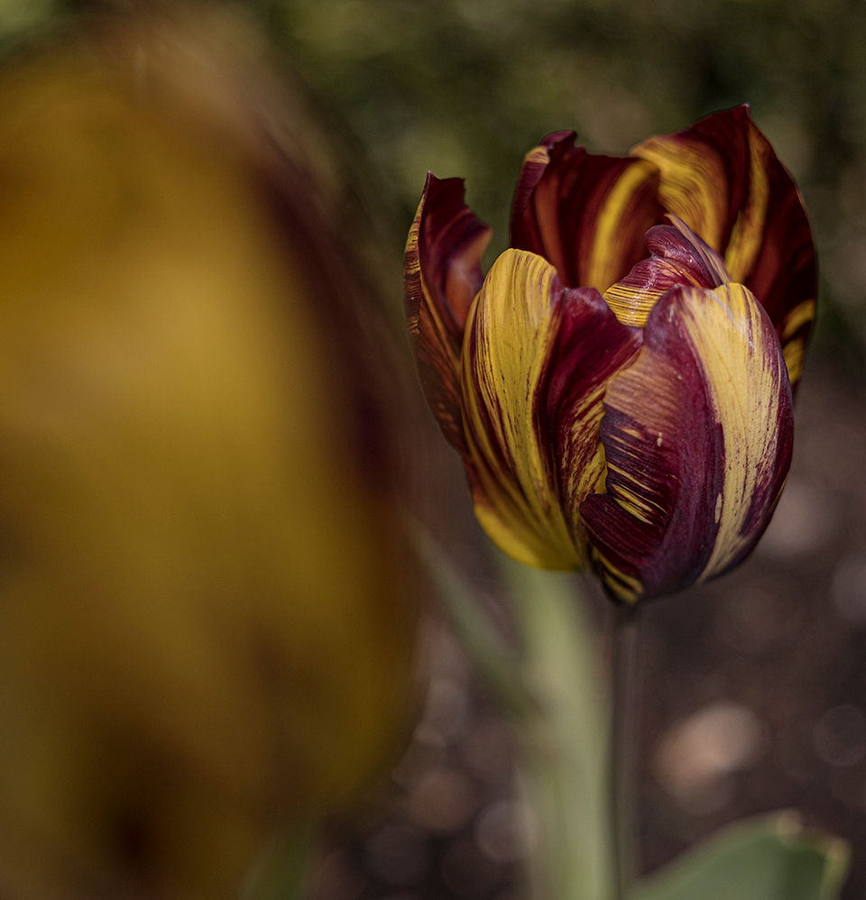 Photography © Stephanie Smart