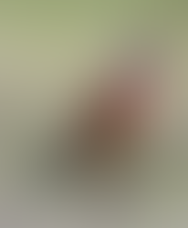  A male Common Linnet Linaria cannabina in Lincolnshire, England by Joe Pell