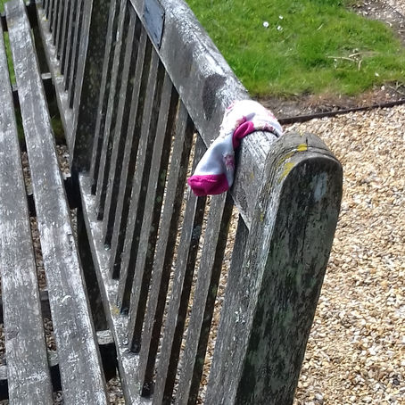 little socks on a large lawn amid the South downs