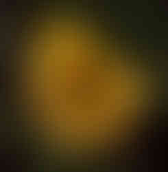 Photography © Stephanie Smart