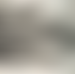 © The Bewick Society