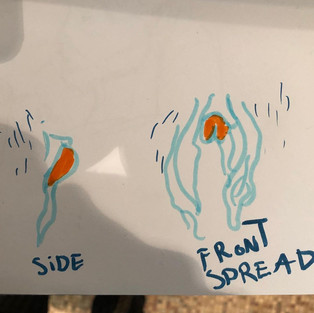 Pictures of drawn bottom growth