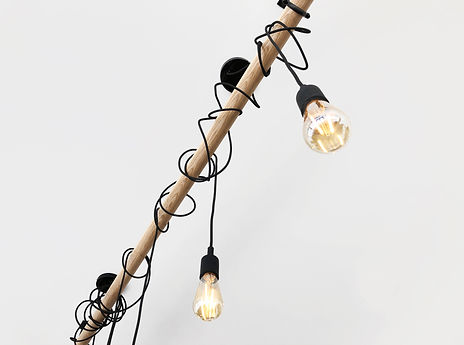 custom light.jpg