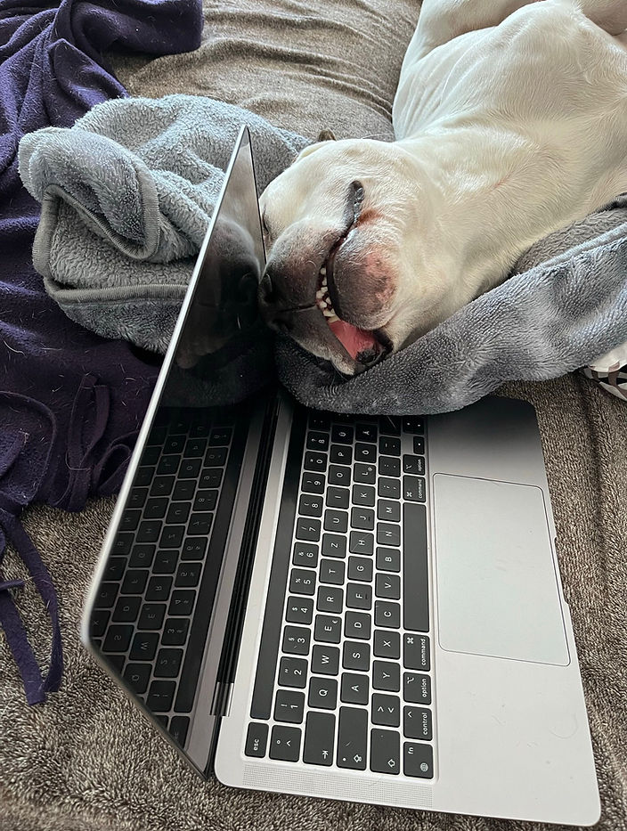 PHOTO-2026-01-12-21-34-34 3.jpg