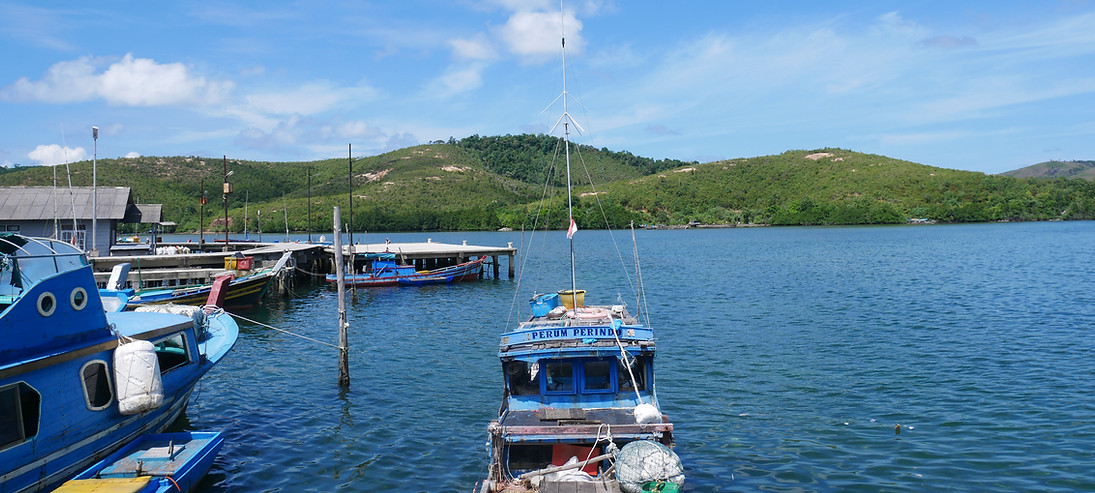 P1100393.JPG