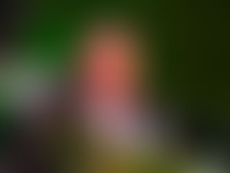 Rafael Marin Mollinedo impulsa la mayor inversión tecnológica en la historia de las aduanas de Mexico