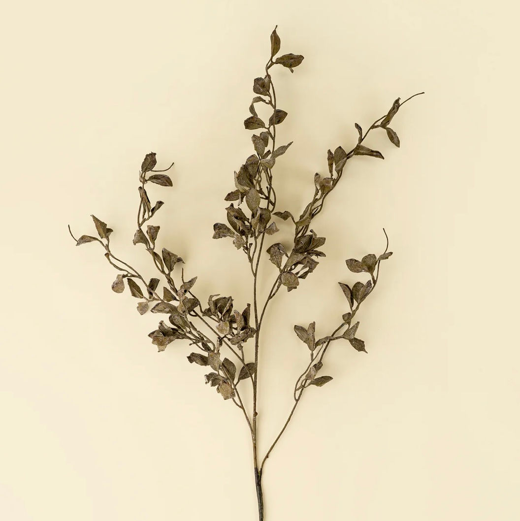 Smoked Eucalyptus Spray with small leaves on branches