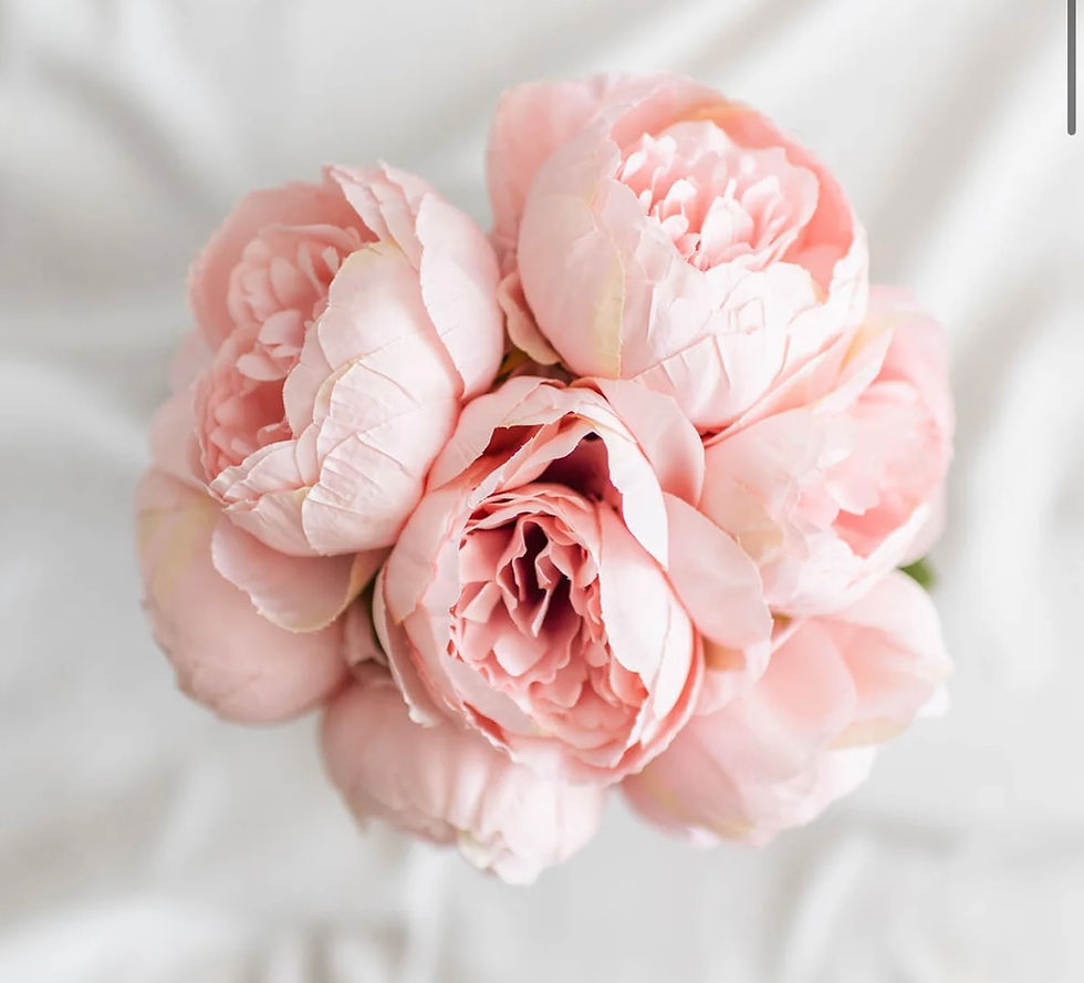 Pink Peonies Bundle