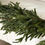 Thumbnail: Green garland Real touch Norfolk garland 15’ on white surface for decoration