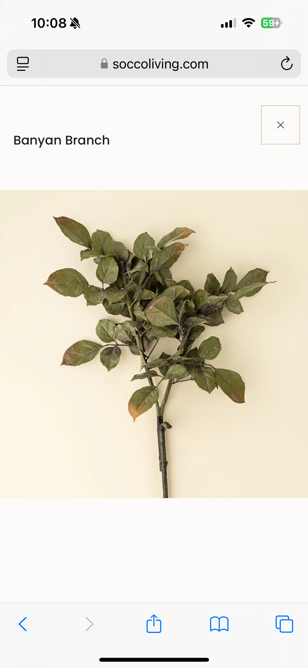 Smoked eucalyptus spray with dark green and copper leaves.
