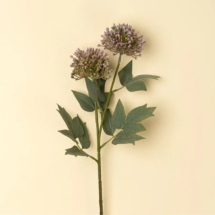Purple allium flower stem with green leaves on a cream background