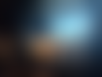 The Hague International Model United Nations (THIMUN) 2026