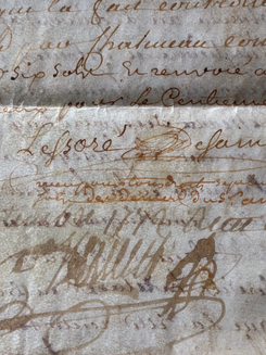 Manuscrit de 1772 | 羊皮紙の古文書