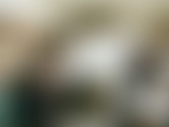 從零開始打造數位影響力:關鍵策略與行動指南