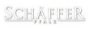 logo_silber_schatten_2x.png