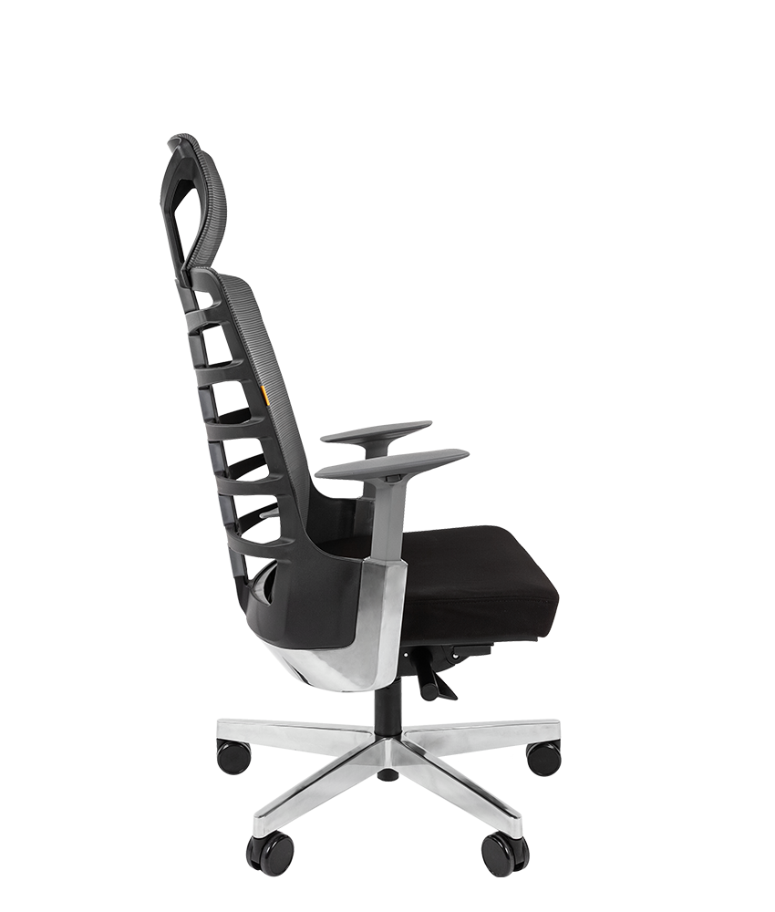 Миниатюра: CHAIRMAN SPINELLY