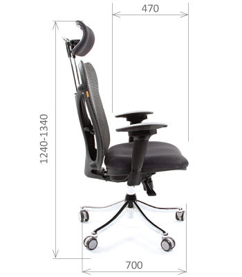 Миниатюра: CHAIRMAN 769