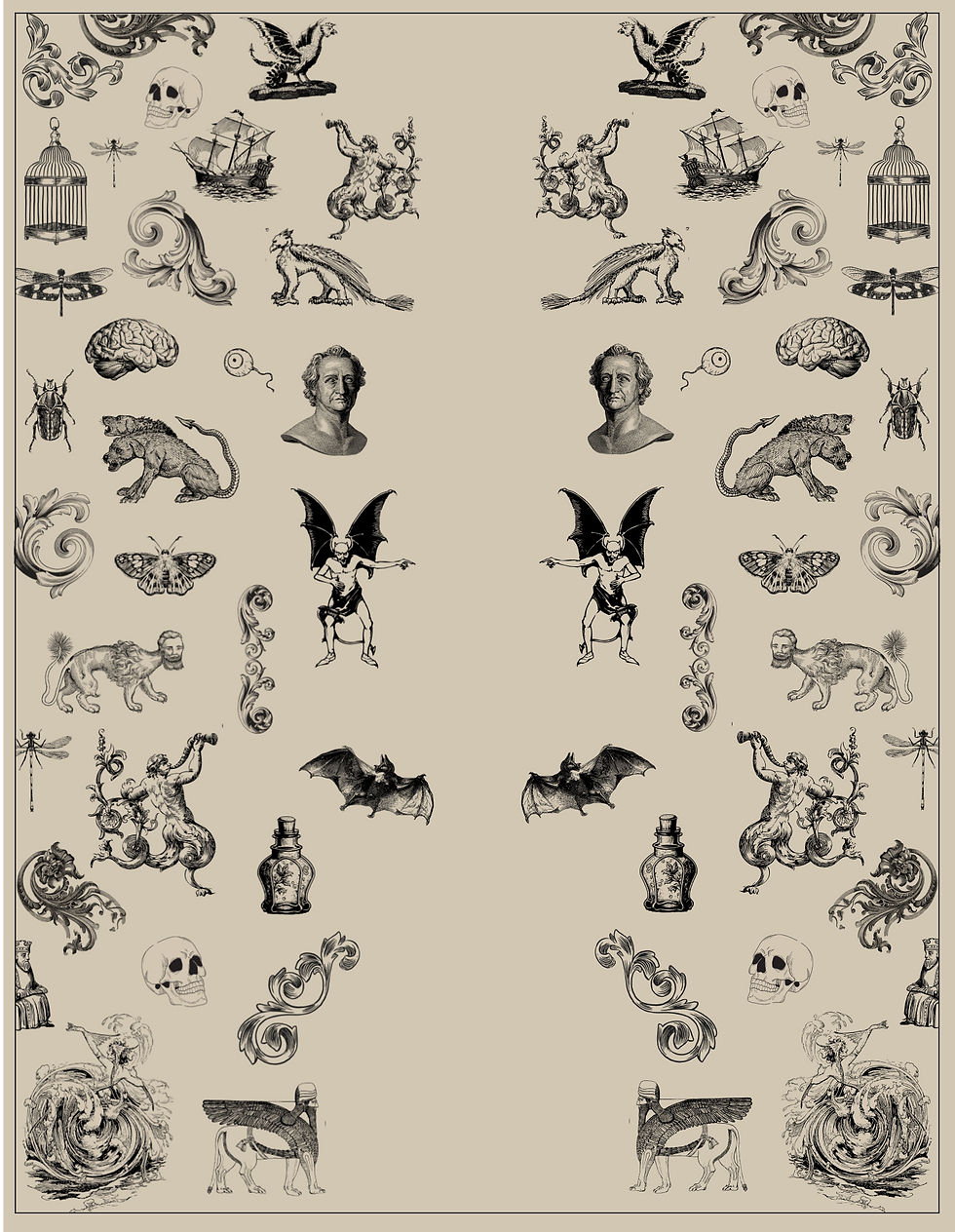 Group 17 (1).png