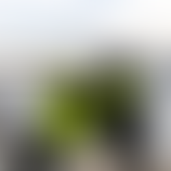 Motosiklet Çanta Ruhsata İşletme 2025 | TSE, TÜVTÜRK, Noter